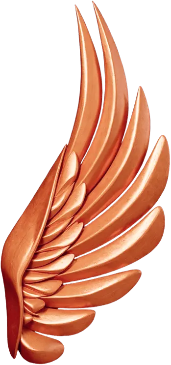 Bronze Rewards