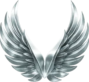 Platinum-img