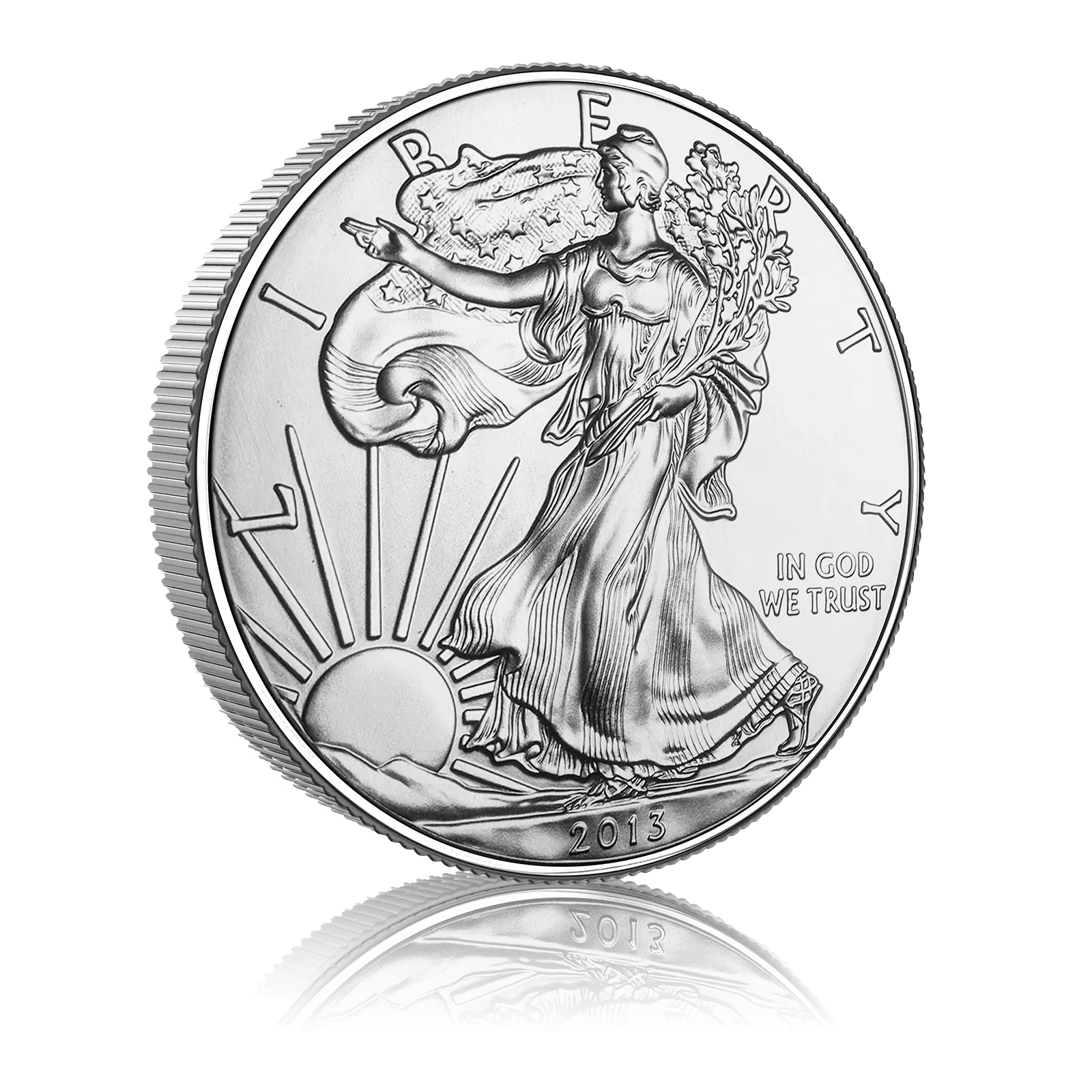 1oz Silver US Eagle Tube of 20 Coins (2013) 4
